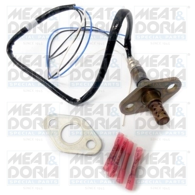 Oxygen Sensor